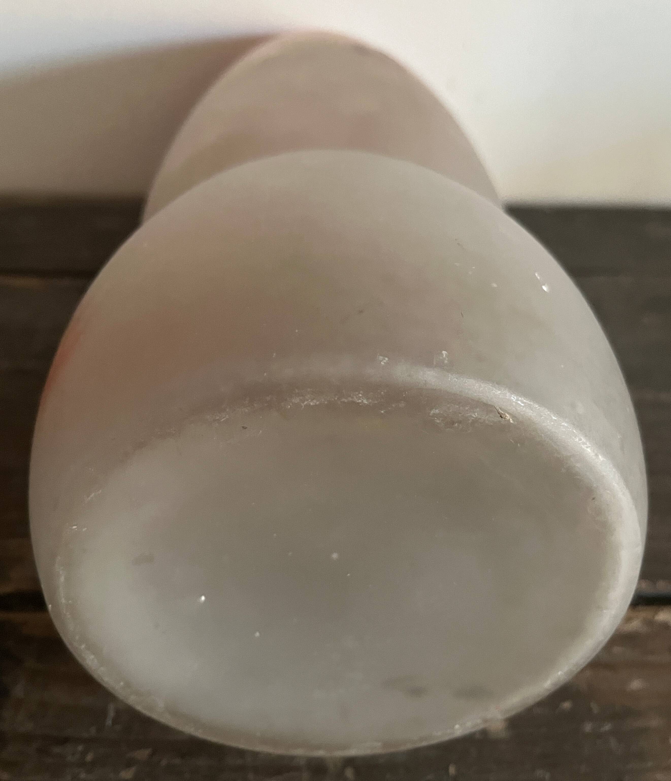 Pair of antique vases decorated with holly (early 20th century)