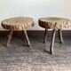 Pair of mountain coffee tables made of wooden logs from the 1970s.