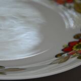 6 Bavaria W Germany floral dinner plates