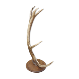 Old horn lamp