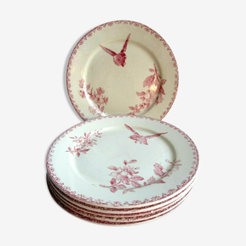 6 old bird plates by Sarreguemines, Favourite model in pink