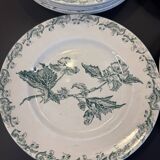 Set of 12 green ironstone flat plates