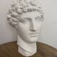 Greek head in polished white plaster