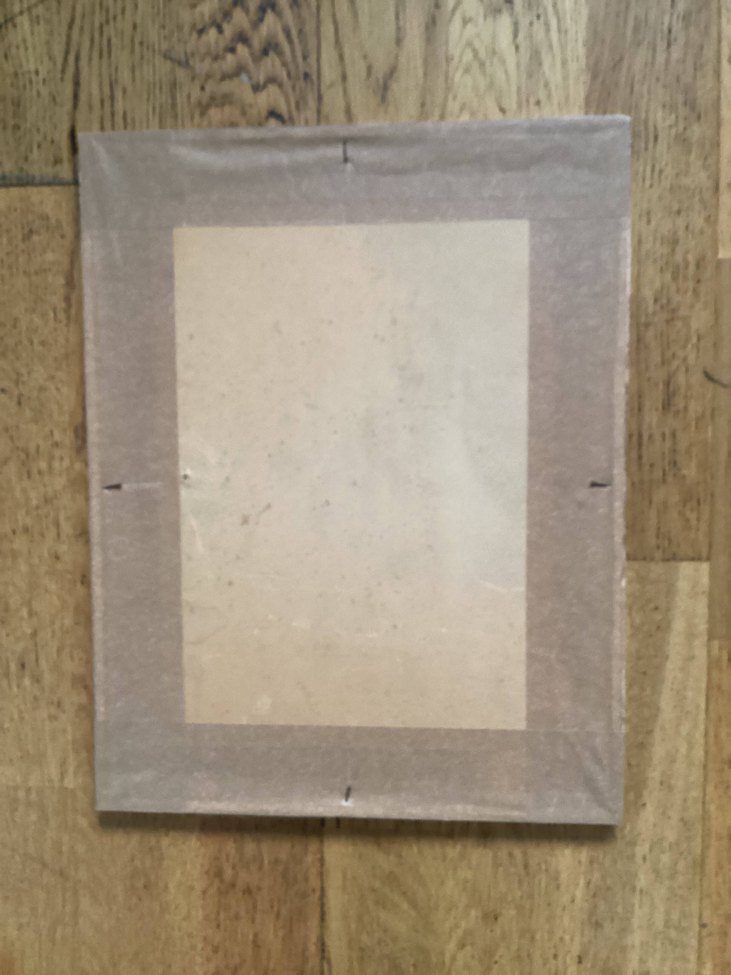 Antique color lithograph of butterflies; dimensions: height - 36.5 cm