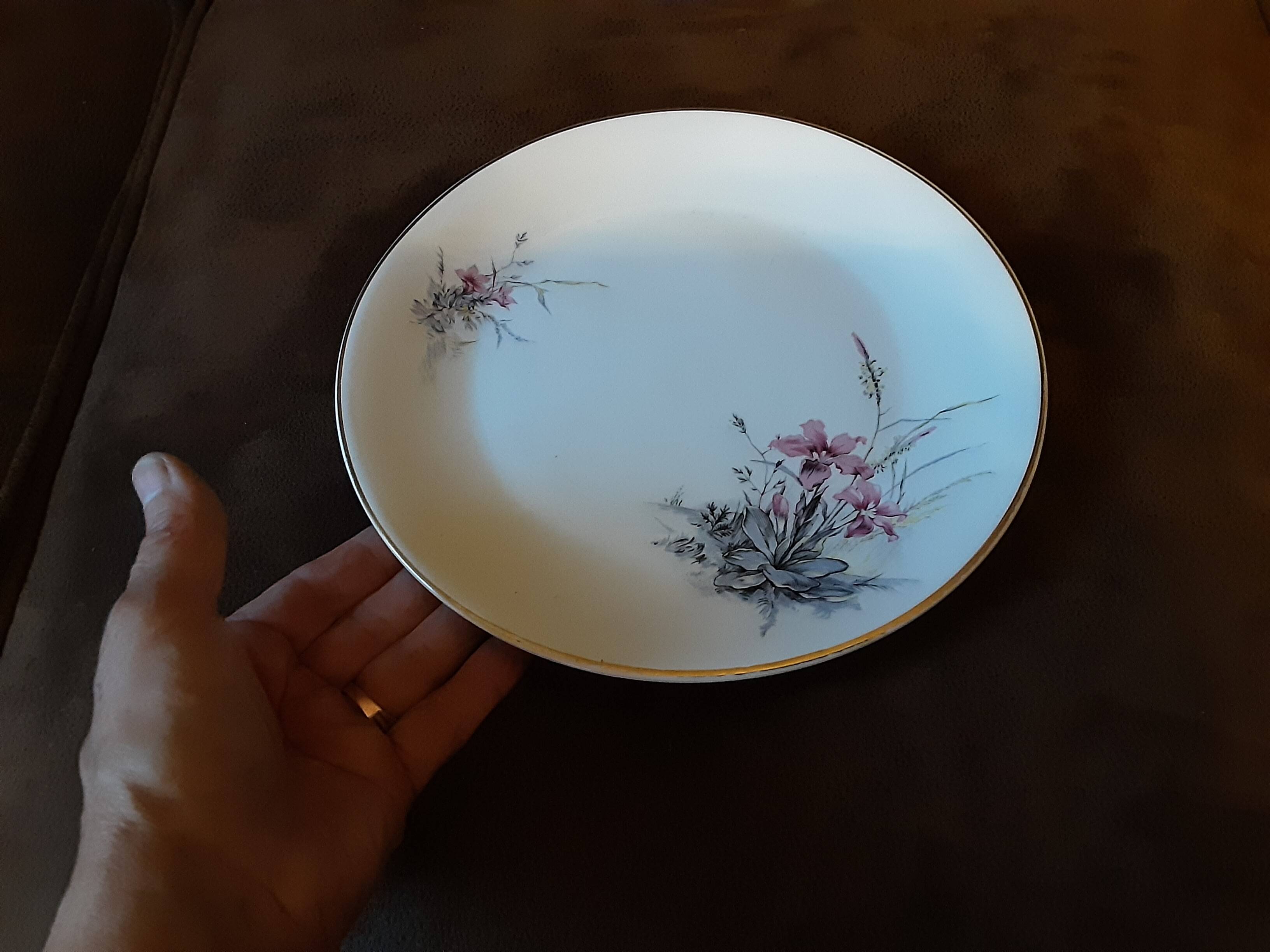 Set of 9 Digoin Sarreguemines dinner plates