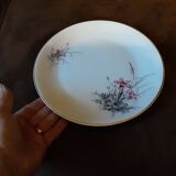Set of 9 Digoin Sarreguemines dinner plates