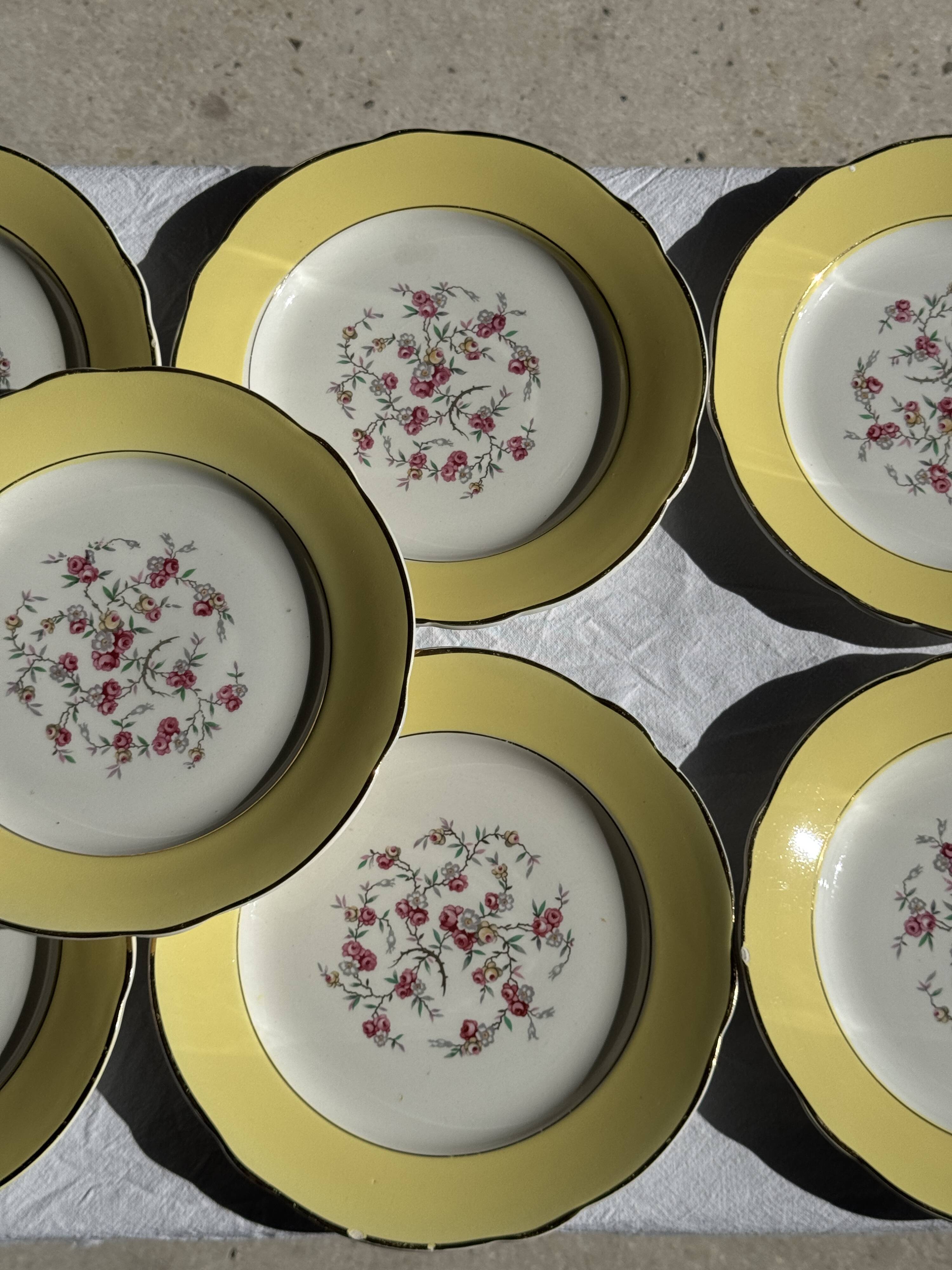 Lot de 19 grandes assiettes plates vintage jaunes fleurs roses liseré doré
