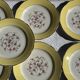 Lot de 19 grandes assiettes plates vintage jaunes fleurs roses liseré doré