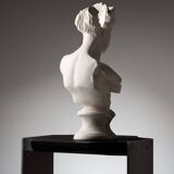 Fragmented Venus sculpture
