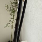 Bega 1950 XL desk lamp