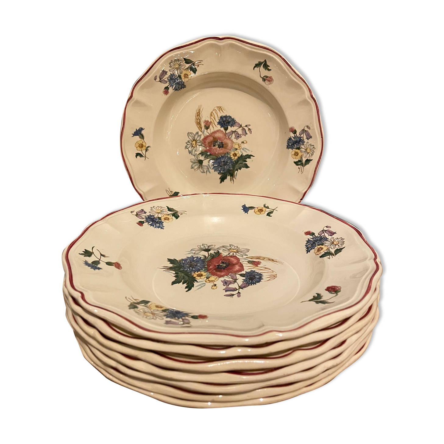 Set of 8 hollow plates in Earthenware Digoin Sarreguemines, Agreste model
