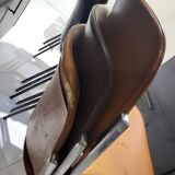 DSC 106 chairs by Piretti