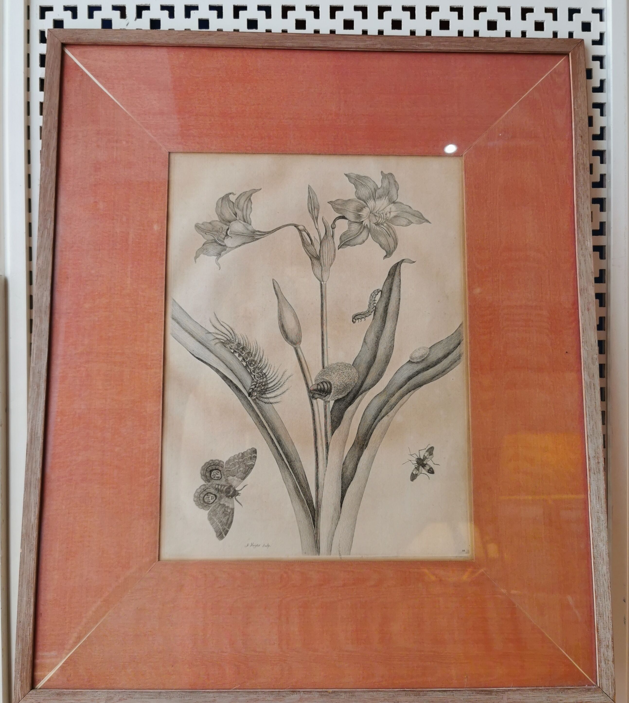 13th century engraving