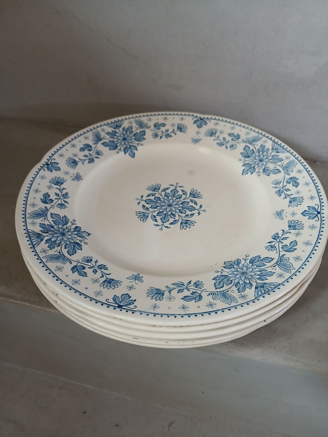 5 old flat plates in Sarreguemines ironstone