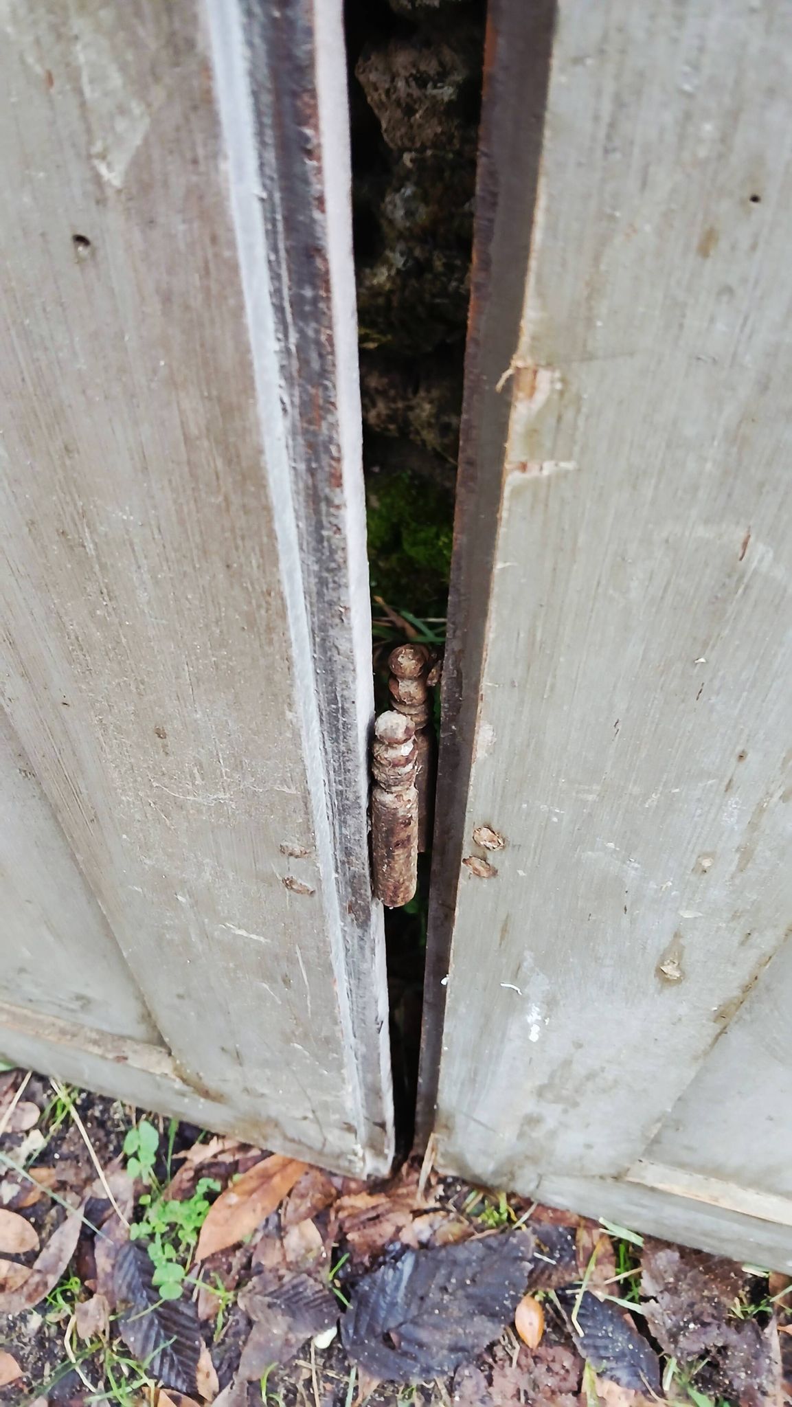 Pair of antique doors