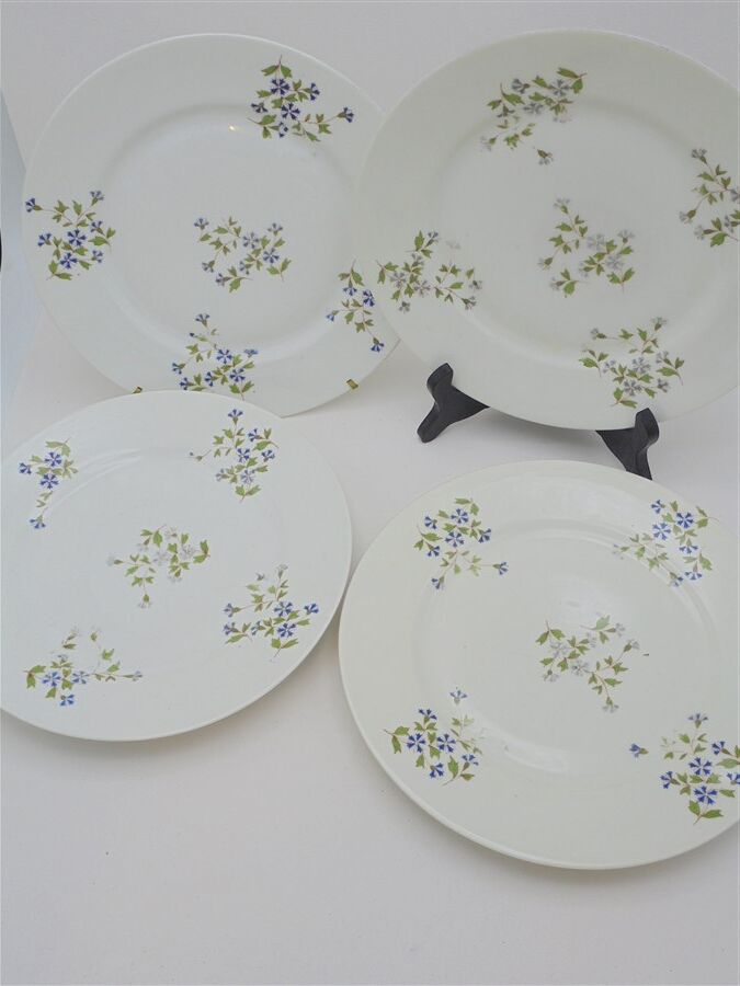 Set of 4 flat plates