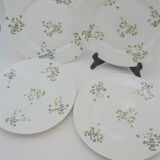 Set of 4 flat plates