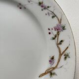 12 vintage porcelain dessert plates signed hache, julien & cie birds