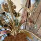 Metal luster painted 3 colors, Florentine style