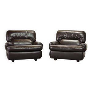 Fauteuils confortables - cuir