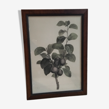 Lithography framed by Pancrace Bessa