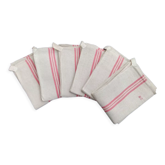 Set of 6 bc hemp dish towels