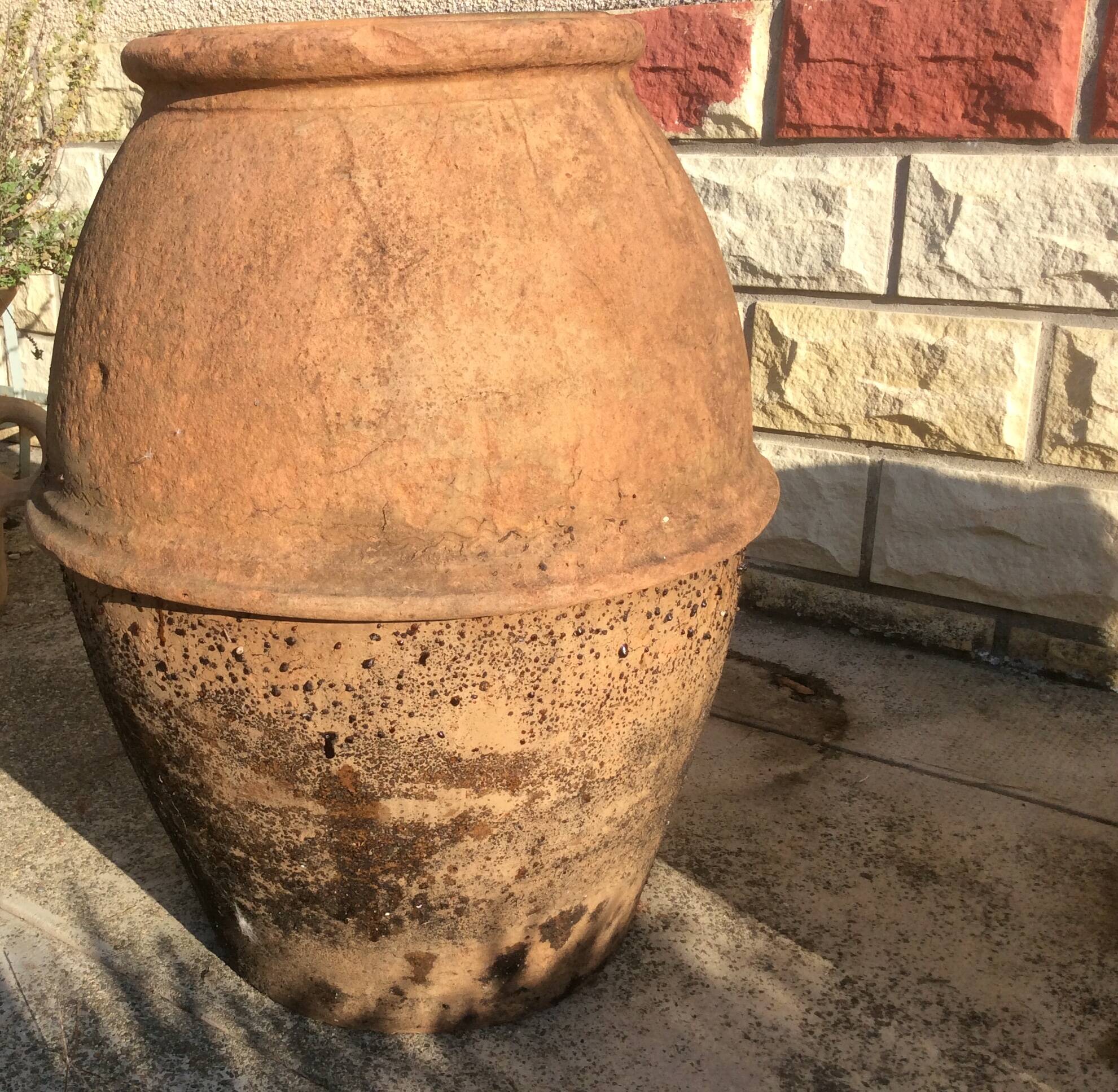 Ancient Orcio dà olio italiano