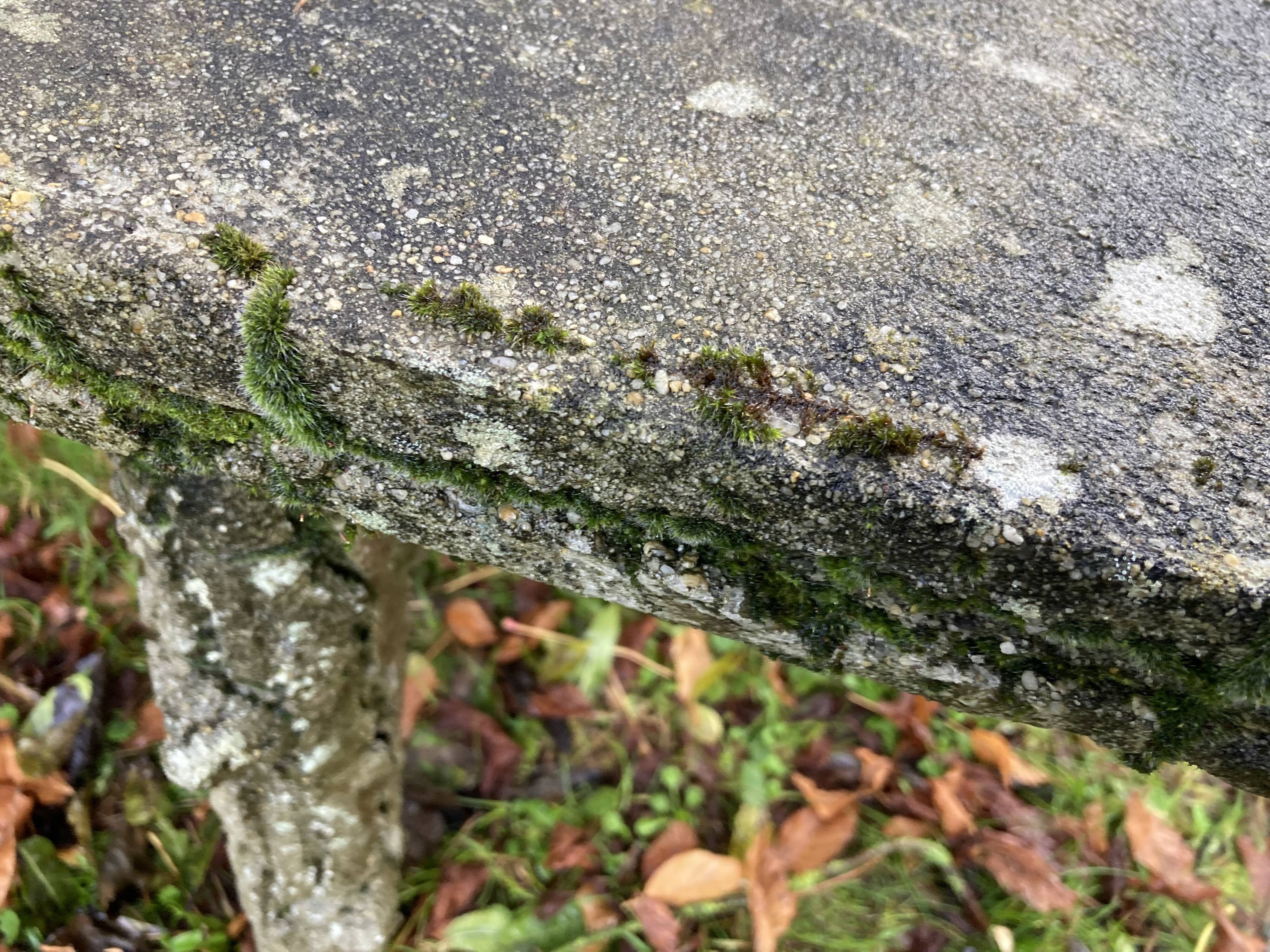 1 table and 2 benches in cement, faux wood, rockery, 1950s. 150cm
