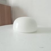Old vintage globe lampshade in opaline.