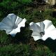 ÉLO FRANCE handkerchief planters