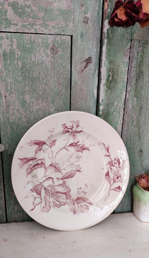 Flat plate iron earth / Christmas rose