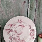 Flat plate iron earth / Christmas rose
