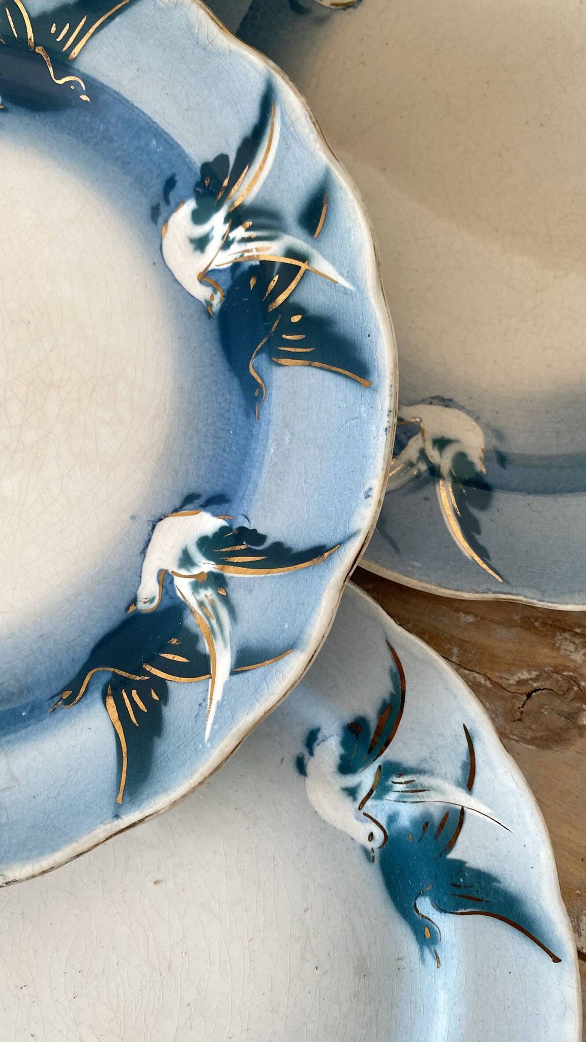 Rares assiettes à dessert Terre de Fer Choisy le roi , oiseaux