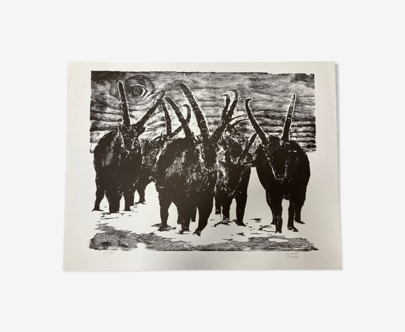 Capra Ibex