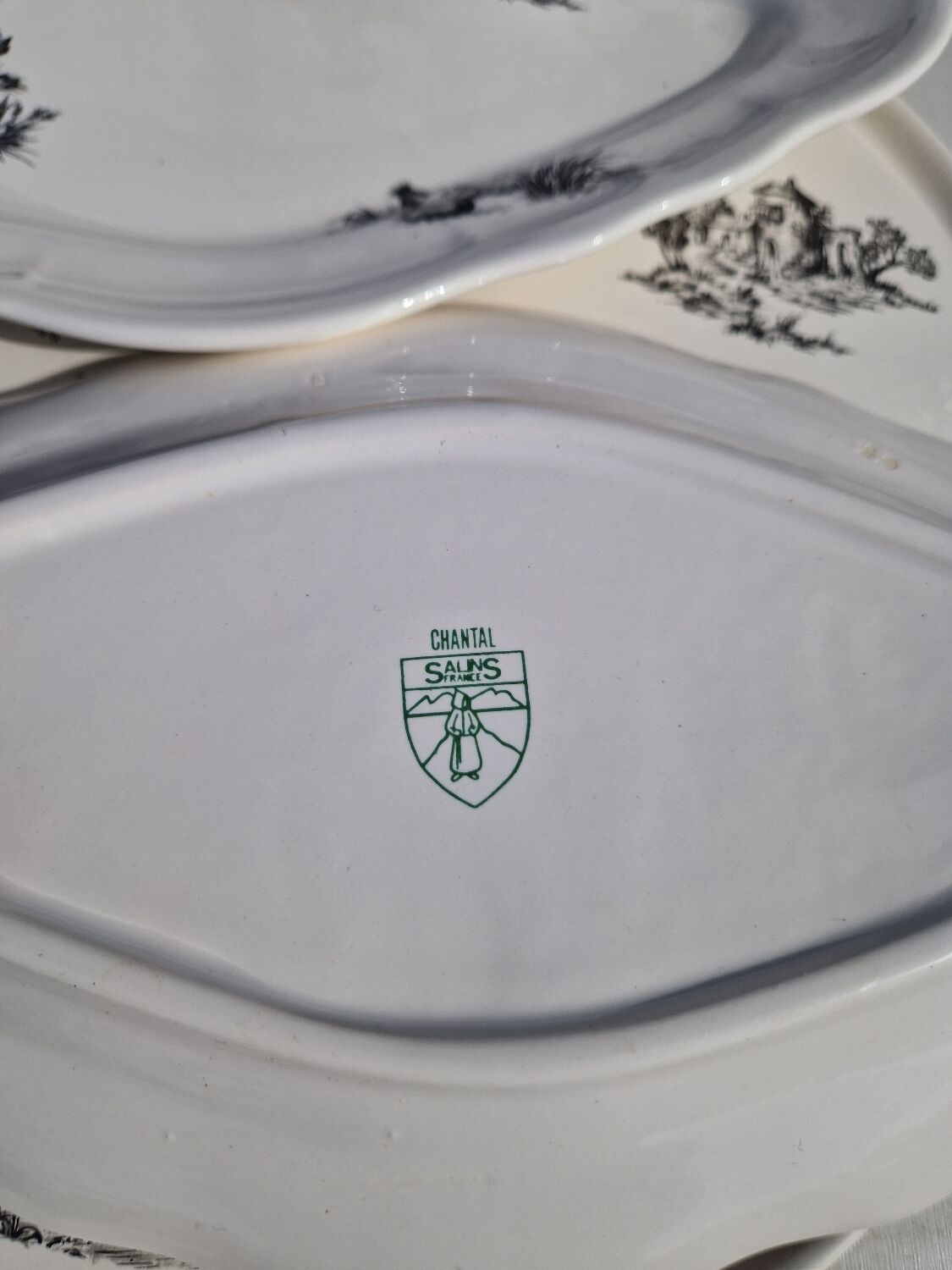 Salins earthenware table service model Chantal, 55 pieces.