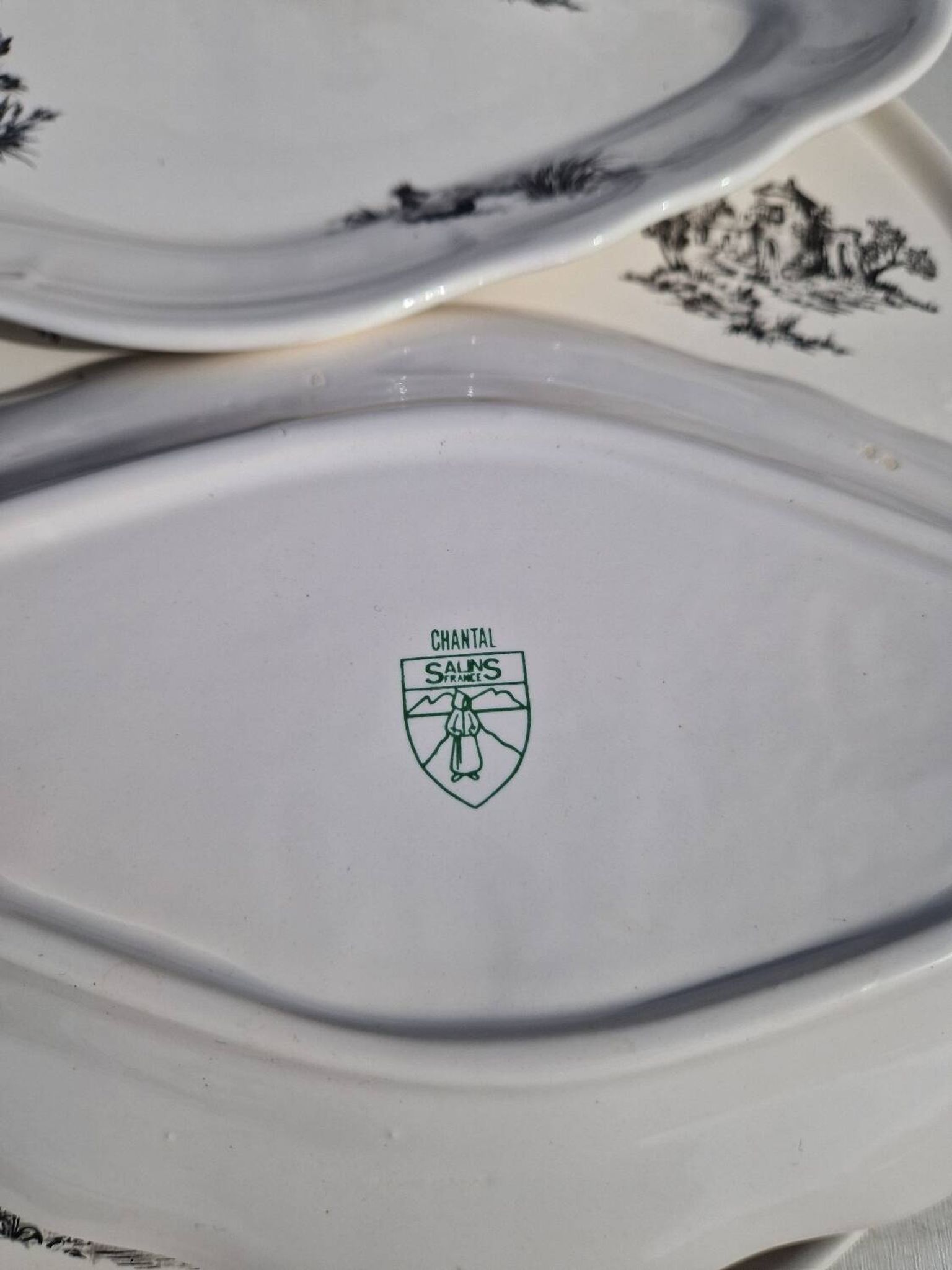 Salins earthenware table service model Chantal, 55 pieces.