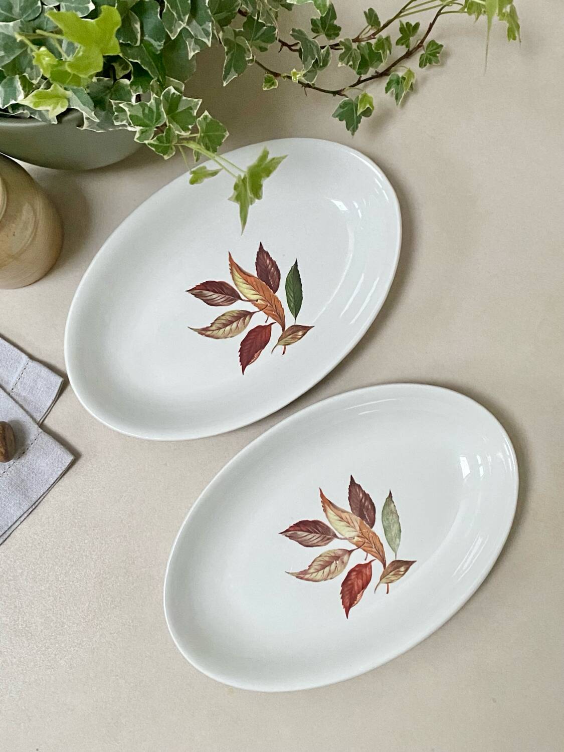 Pair of serving dishes