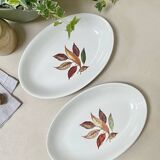 Pair of serving dishes