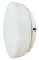 Vintage Soviet Ceiling or Wall Light with Milk Glass, 1980s