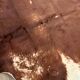 Cow rug