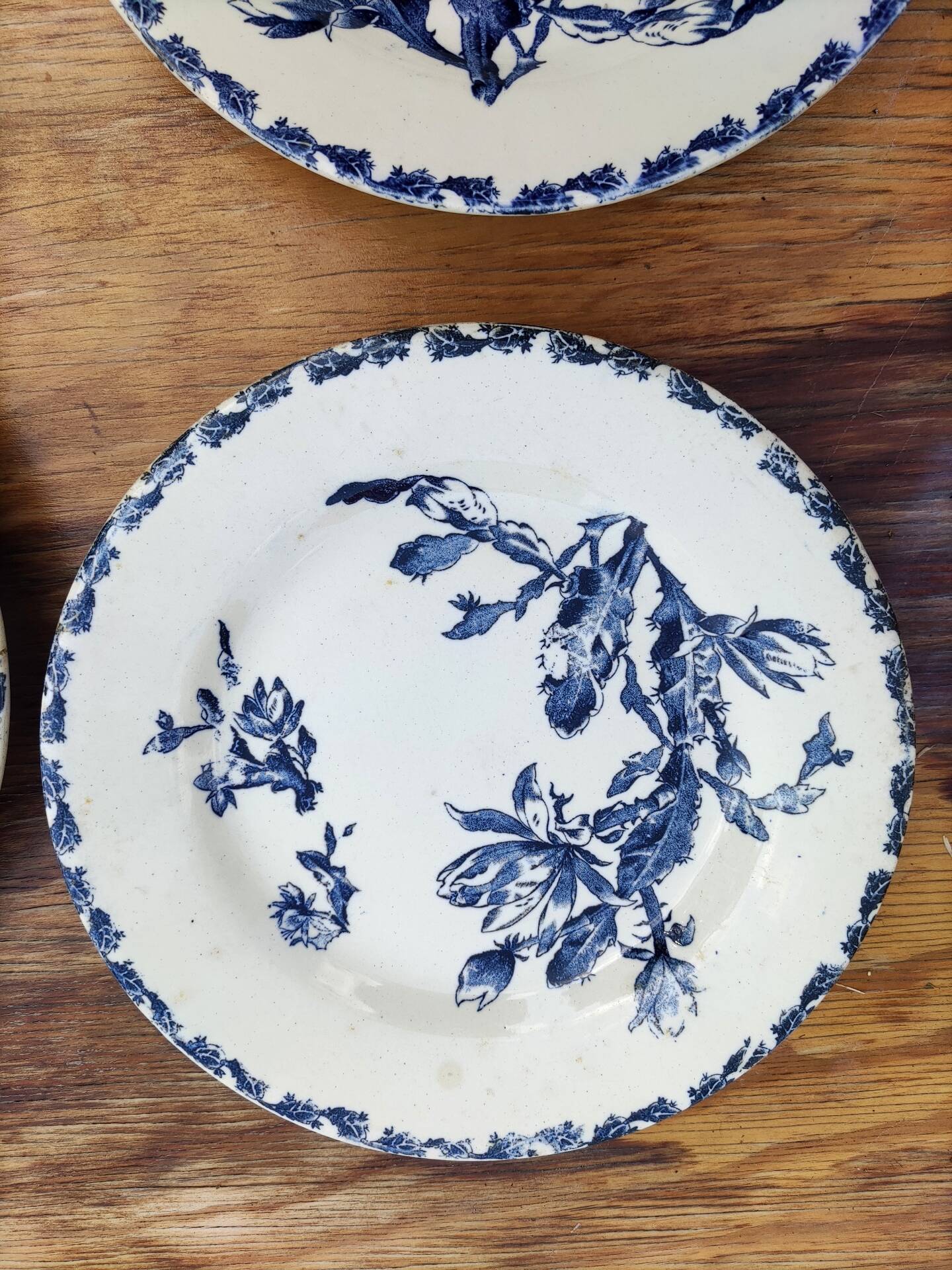 6 flat plates made of Gien earthenware - ironstone - cactus model