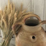 Old jar, gargoulette, kid jug