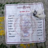 Authentic Margoum Nomad Kilim Rug Woven Flat Grey and Yellow