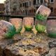 Set of 6 blown glass glasses with Effetre Murano murrine.