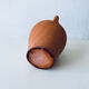 Terracotta amphora vase, jar