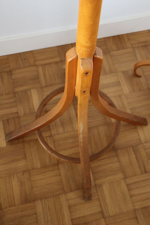 Baumann clear parrot coat rack