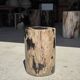 Petite table d'appoint en bois pétrifié cœur noir écorce stries noires et b