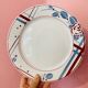 6 plates Beaujeu Digoin Sarreguemines