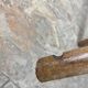Set of 6 brutalist solid oak tripod farm stools from the 1950s