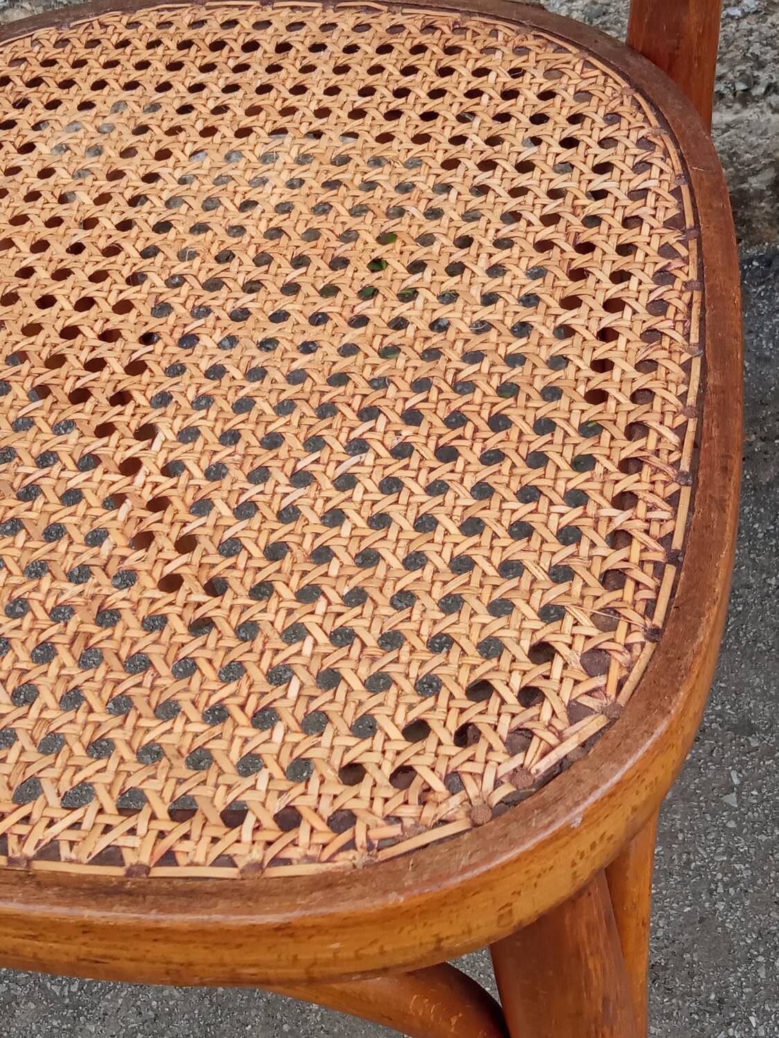 Pair of caned Fischel chairs, circa 1900
